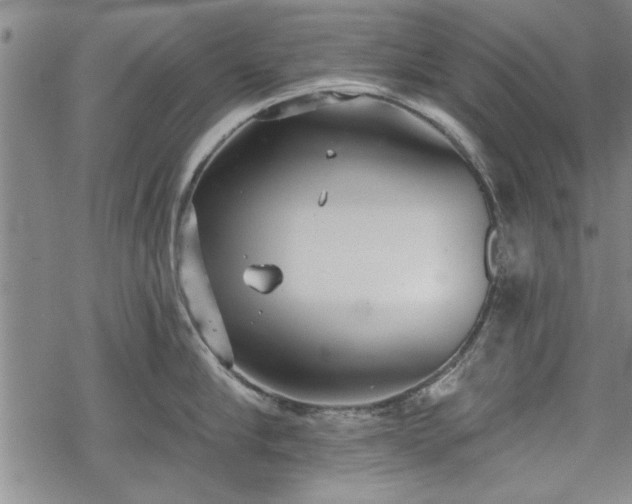 X0000069380910200605150914