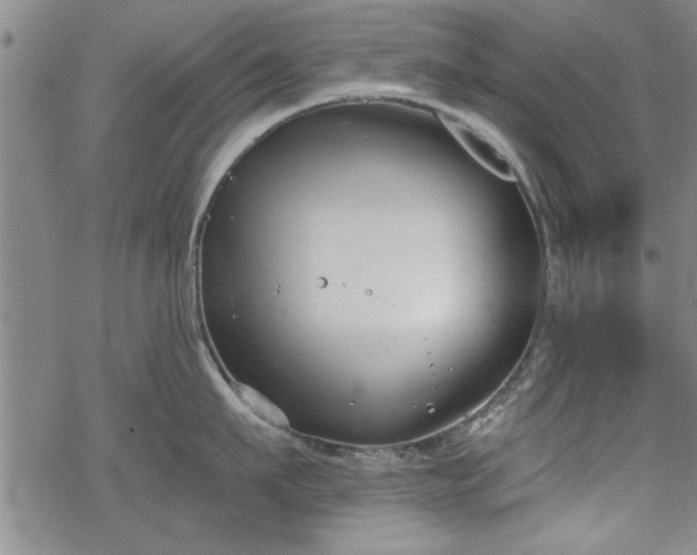 X0000069380911200605150914