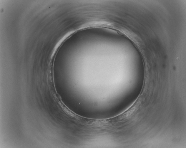 X0000069380912200605150914