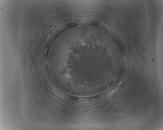 X0000069380913200605150913