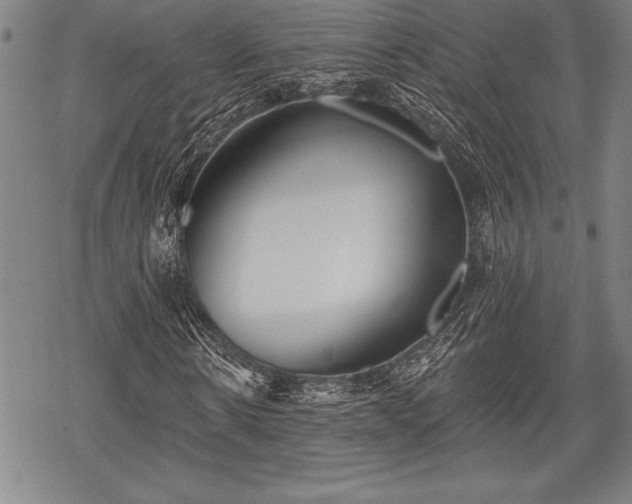 X0000069380914200605150913