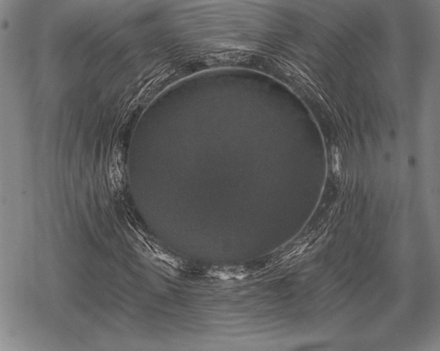 X0000069380915200605150913