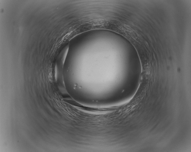 X0000069380916200605150913