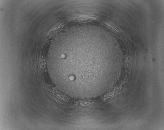 X0000069380917200605150913