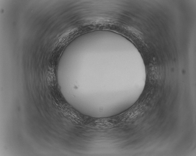 X0000069380918200605150913