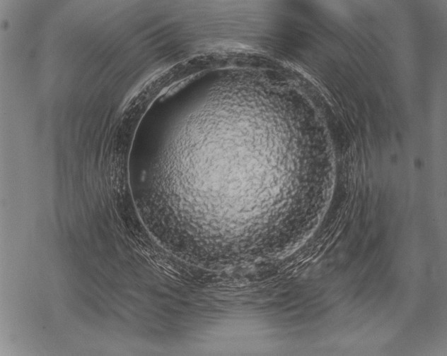 X0000069380919200605150913