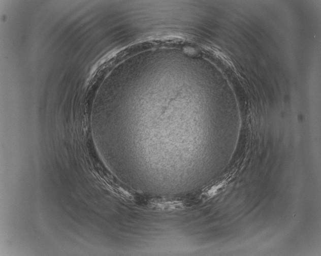 X0000069380920200605150913