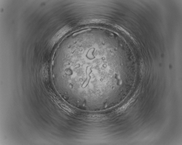 X0000069380921200605150913