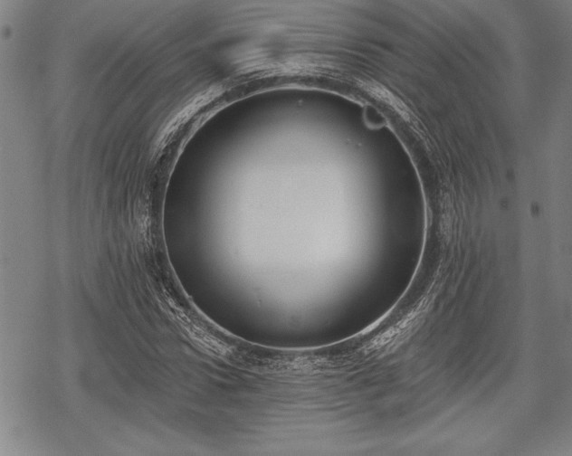 X0000069380922200605150913