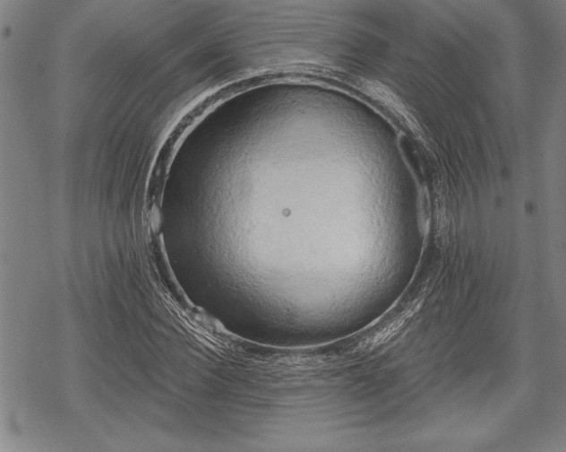 X0000069380924200605150914