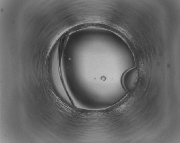 X0000069380926200605150914