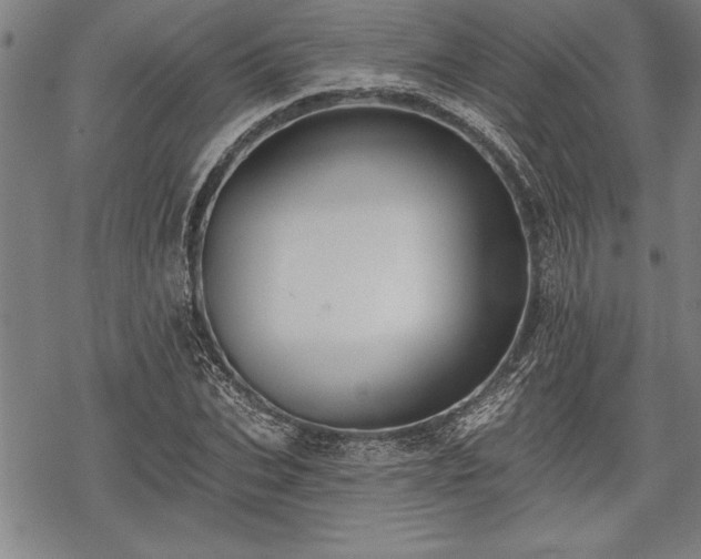 X0000069380927200605150914