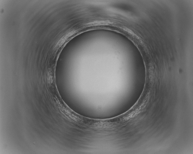 X0000069380929200605150914