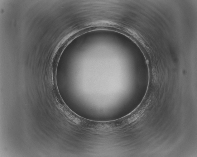 X0000069380931200605150914