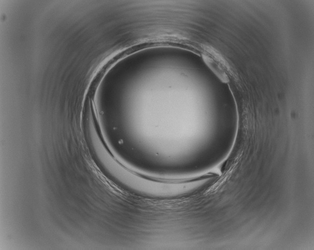 X0000069380932200605150914