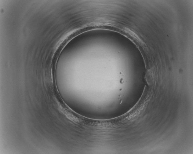 X0000069380934200605150914