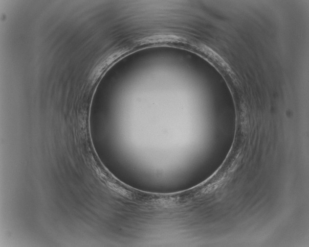 X0000069380937200605150914