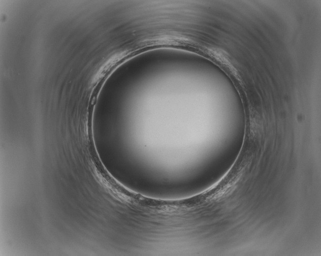 X0000069380938200605150914