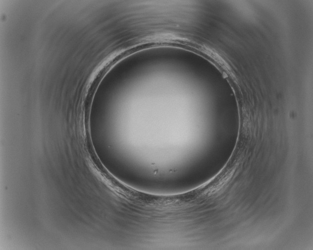 X0000069380939200605150914