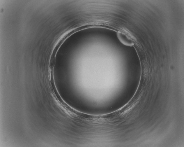 X0000069380940200605150914