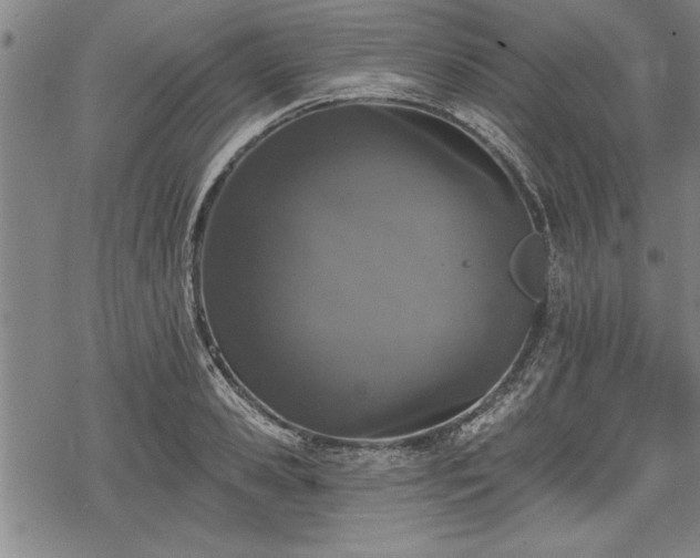 X0000069380941200605150914