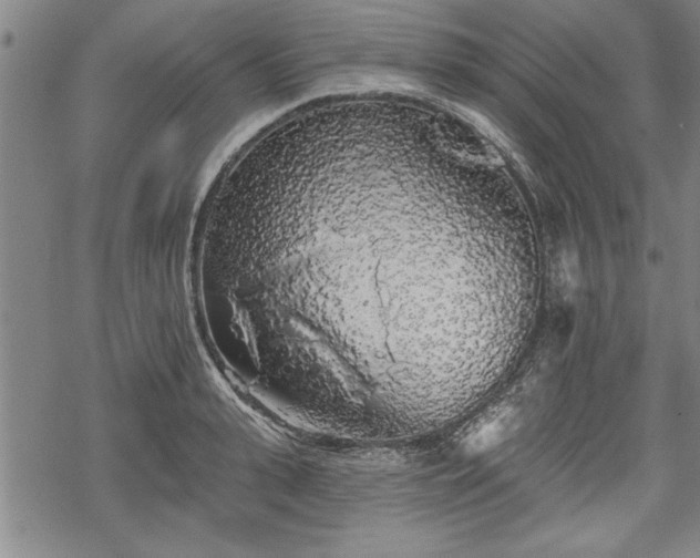 X0000069380943200605150914