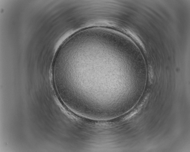 X0000069380944200605150914