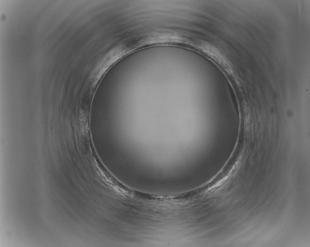 X0000069380945200605150914