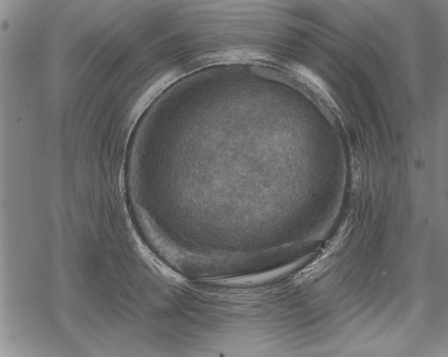 X0000069380946200605150914