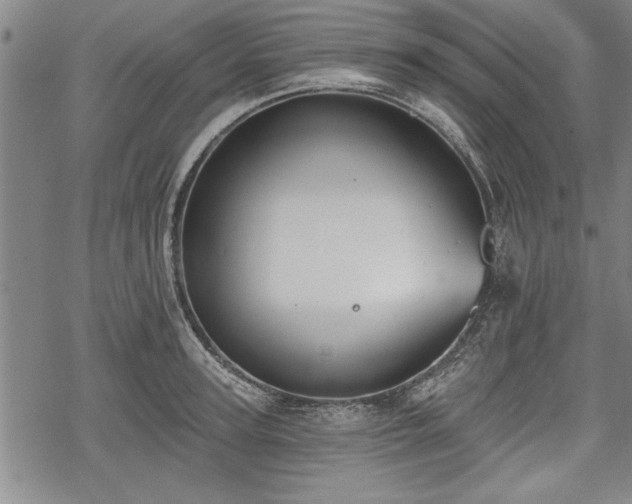 X0000069380947200605150914