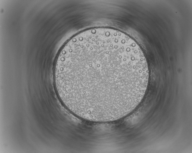 X0000069380950200605150914