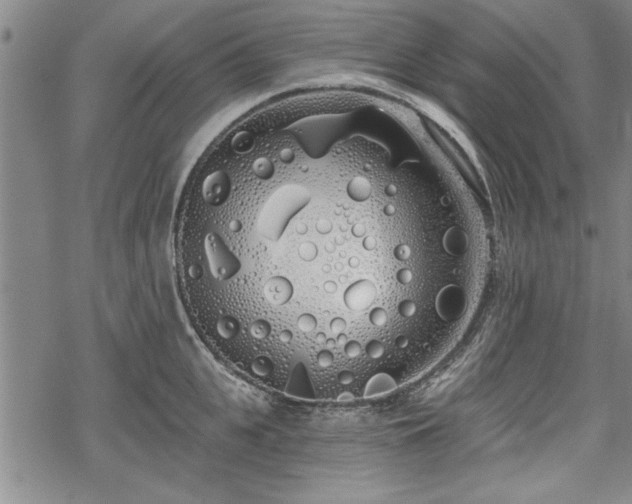 X0000069380951200605150914