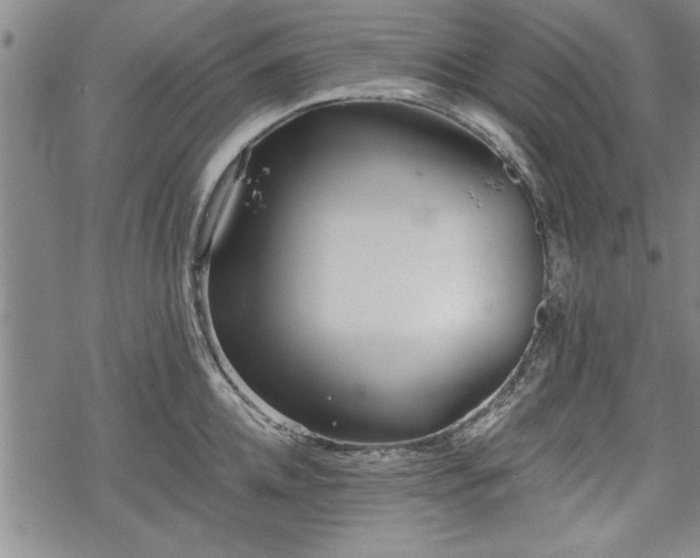 X0000069380952200605150914