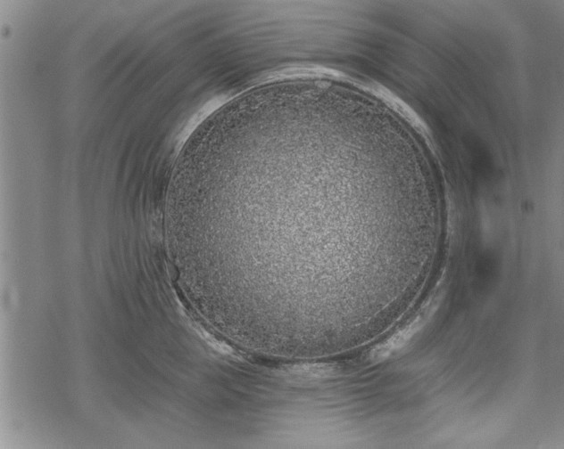 X0000069380953200605150914