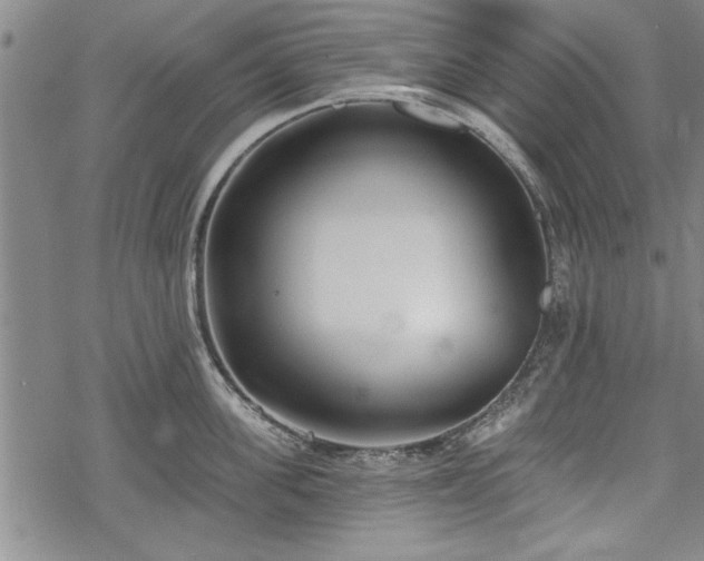 X0000069380955200605150914