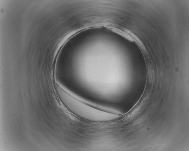 X0000069380956200605150914