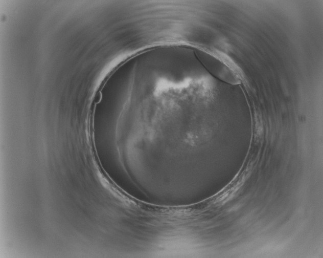 X0000069380958200605150914