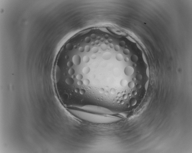 X0000069380959200605150914