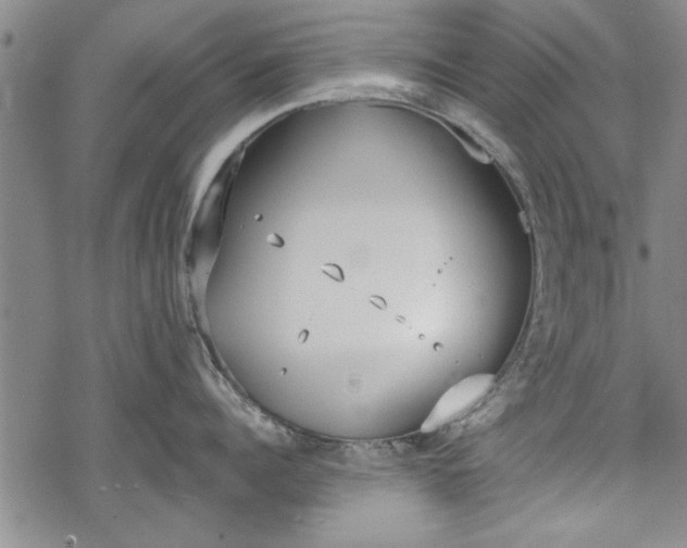 X0000069380960200605150914