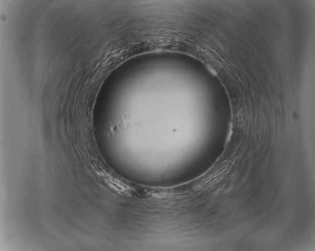 X0000069380961200605150913