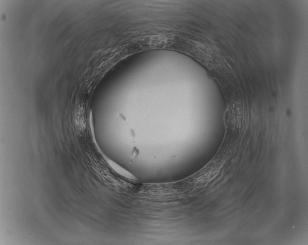 X0000069380962200605150913