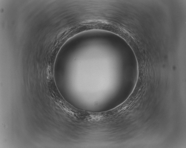 X0000069380965200605150913