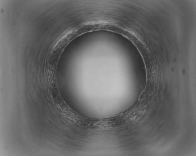 X0000069380967200605150913