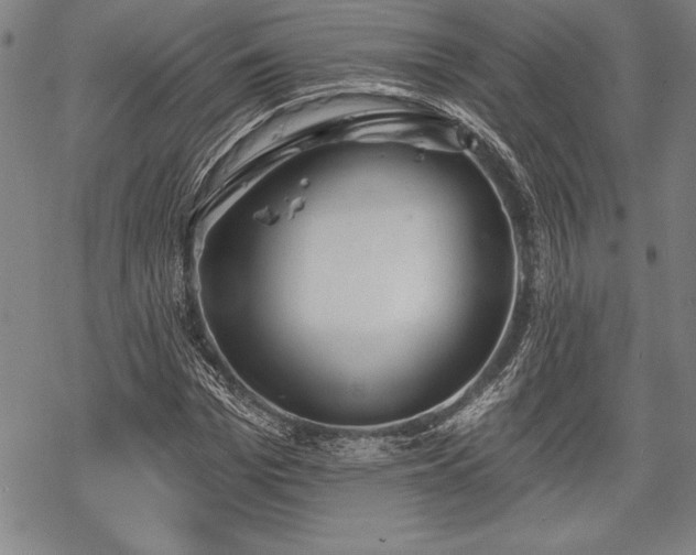 X0000069380969200605150913