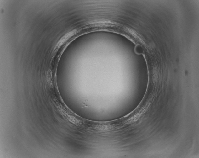 X0000069380970200605150913