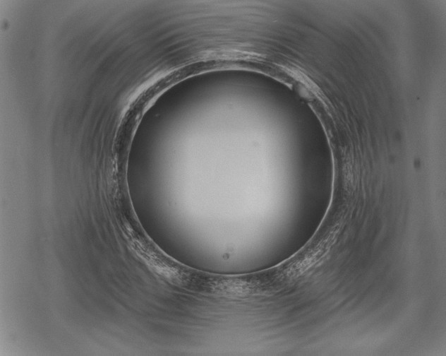 X0000069380971200605150913