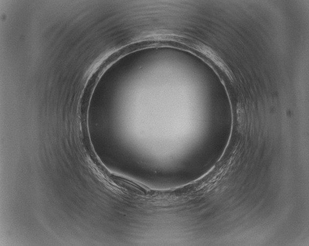 X0000069380972200605150913