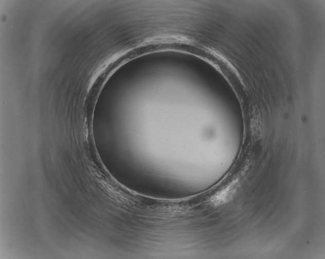 X0000069380973200605150913