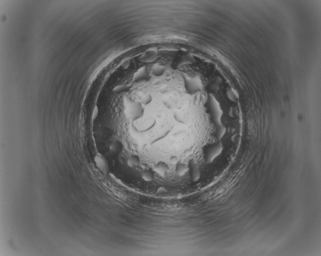 X0000069380975200605150913