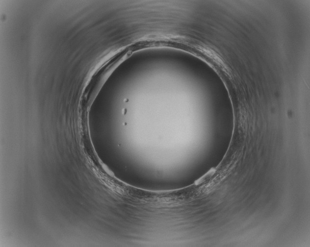 X0000069380976200605150913